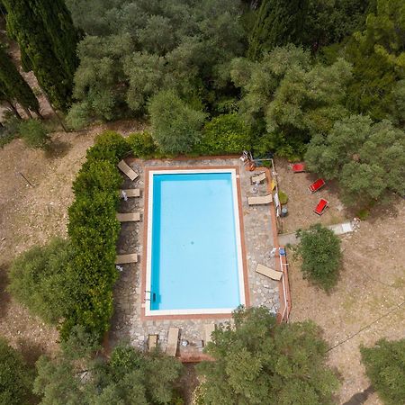 Villa I Tigli Campiglia Marittima Zewnętrze zdjęcie