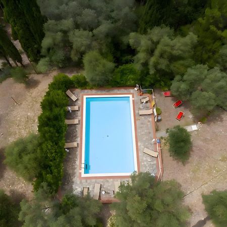 Villa I Tigli Campiglia Marittima Zewnętrze zdjęcie